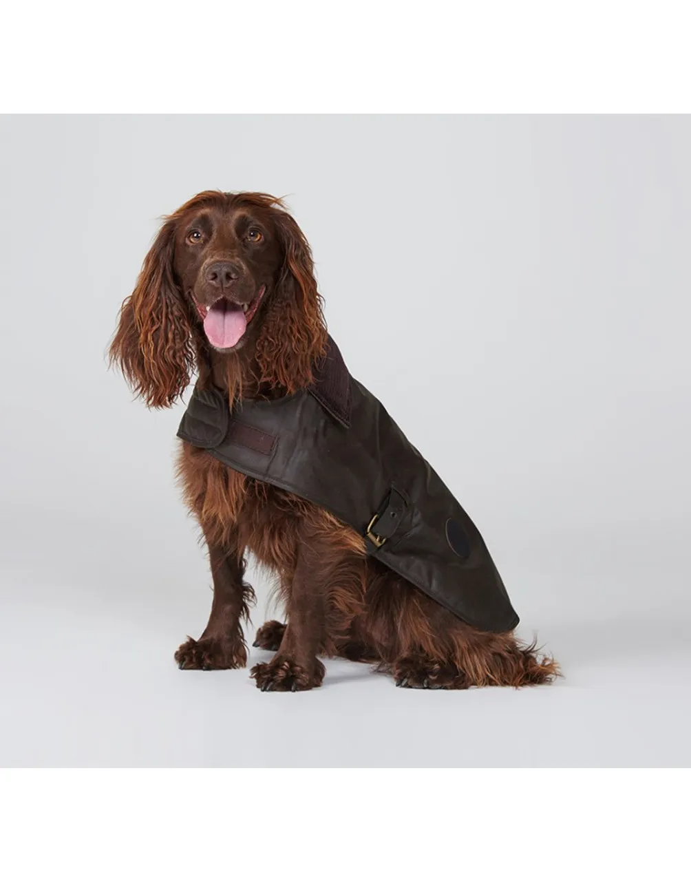 Barbour Wax Dog Coat - Olive