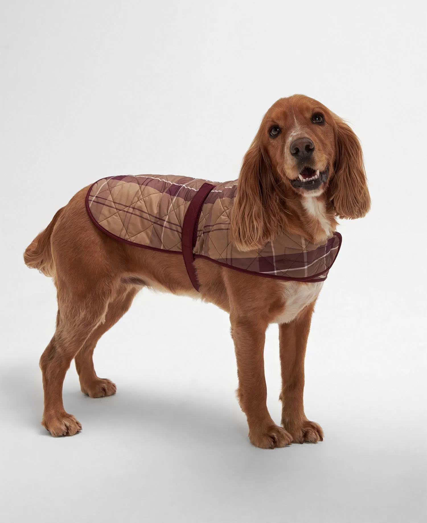  Tartan Quilted Dog Coat     